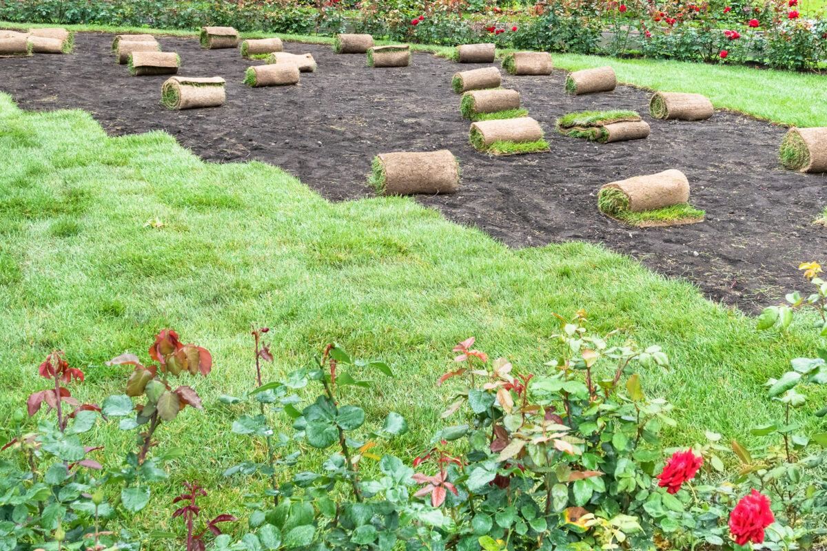 laying out sod on Long Island home