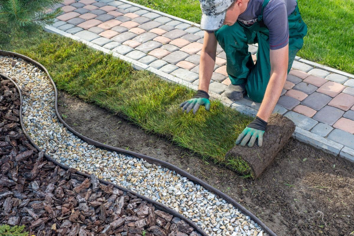 laying down fresh rolls of sod