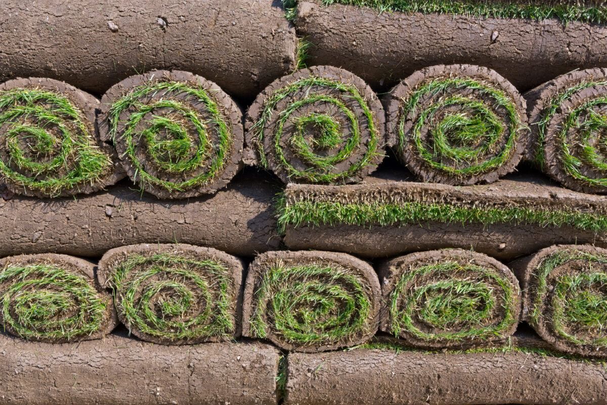 Fresh sod rolls staged for Nassau County sod delivery on Long Island