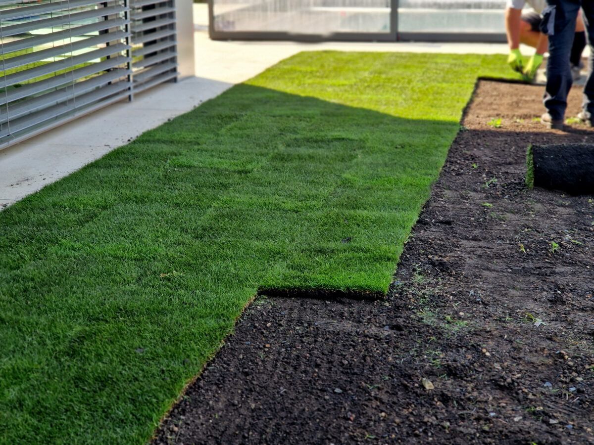 sod installation residential