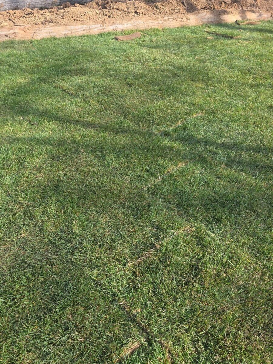 Fresh sod delivery and installation planning for a Long Island residential lawn