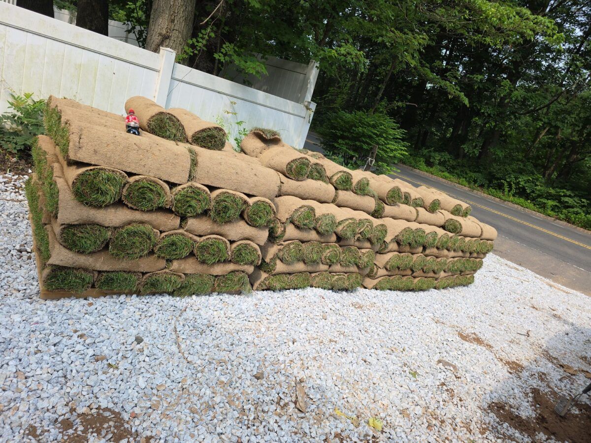 Pallets of fresh-cut sod staged for a Long Island delivery