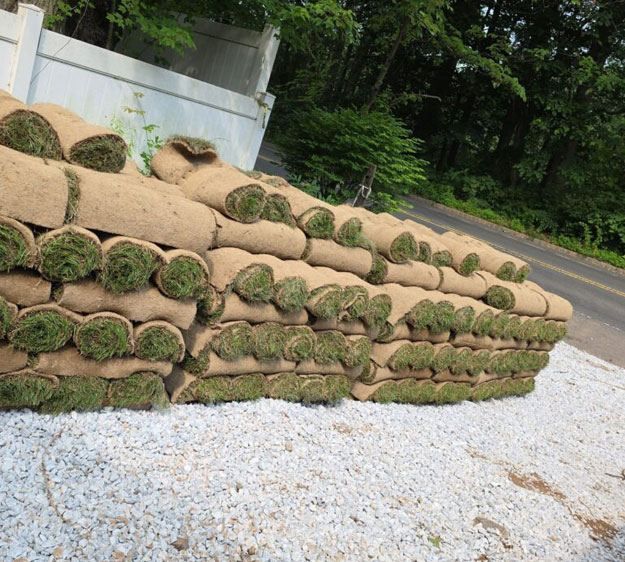 Sod Delivery Services vs Big Box Stores: What Long Island Homeowners Should Know