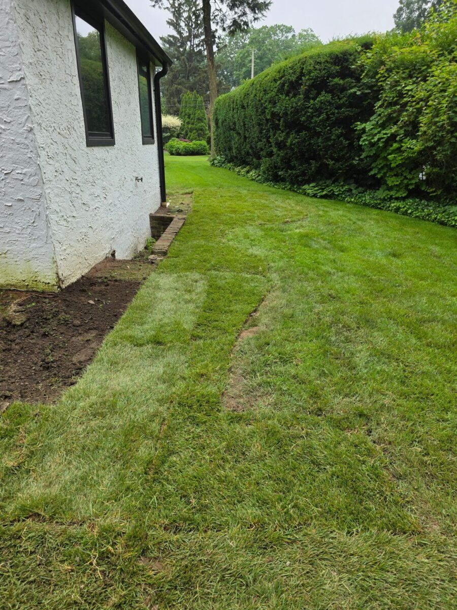 Fresh sod installation on a Long Island jobsite for contractors and landscapers coordinating local lawn projects.