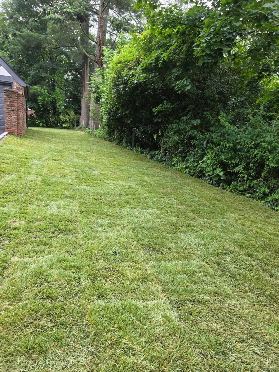 Fresh Huntington and North Shore Long Island sod installation lawn with new turf beside a residential property.