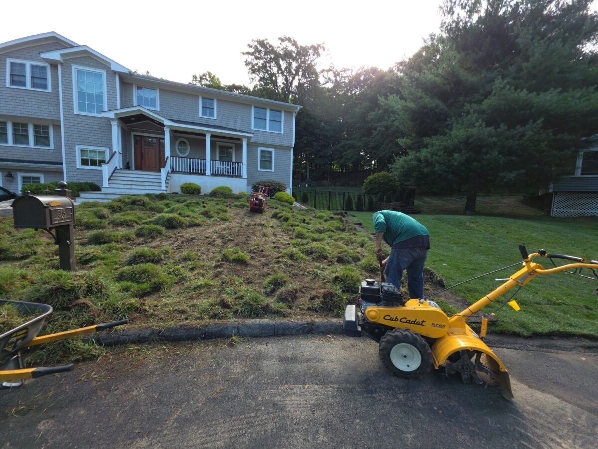 Lawn Sod Installation Timeline: What Homeowners Should Expect